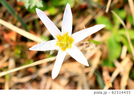 風景 観光 風 62314435