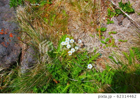 風景 観光 風 62314462
