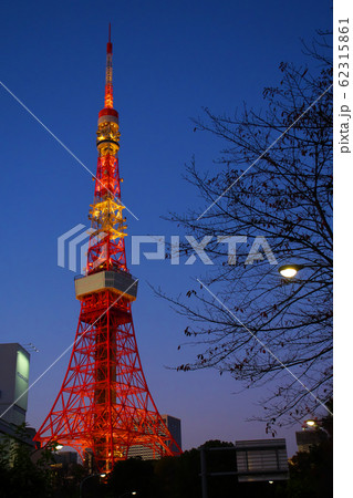 夕刻の東京タワー 62315861