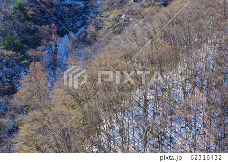 雪と森林 62316432