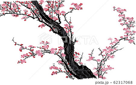 浮世絵 桜 その17のイラスト素材
