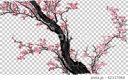 浮世絵 桜 その17のイラスト素材