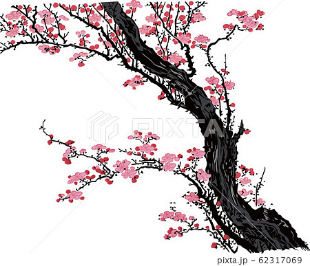 浮世絵 桜 その16 浮世絵 桜 その16 62317069