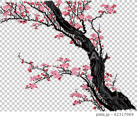 浮世絵 桜 その16のイラスト素材