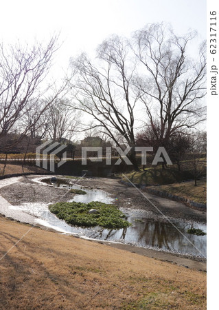 群馬県板倉町の天神池公園 群馬県板倉町の天神池公園 62317116