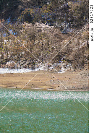 奥多摩湖と桜 62317223