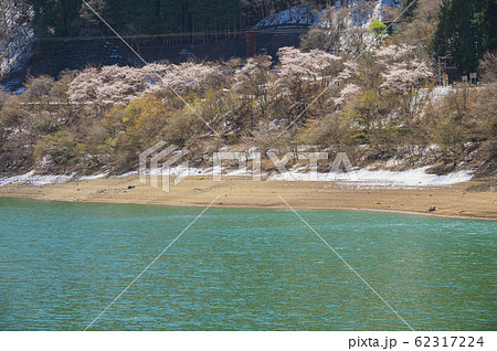 奥多摩湖と桜 62317224