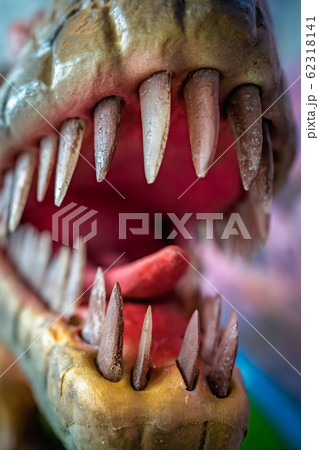 Open mouth of velociraptor dinosaur statue 62318141