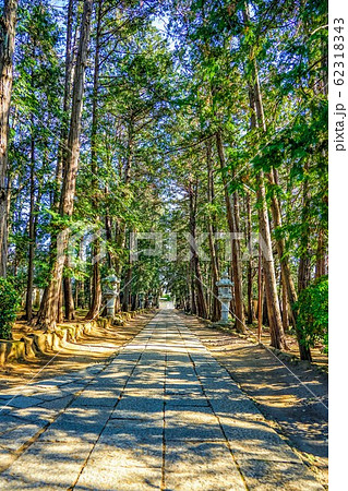 慶元寺参道の石畳と杉並木 62318343