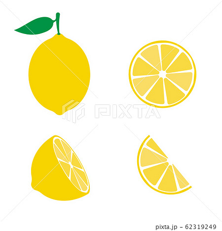 Lemon fruit icons symbols set. Vector eps10 62319249