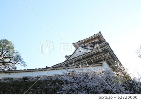 桜満開の春の高知城 62320000