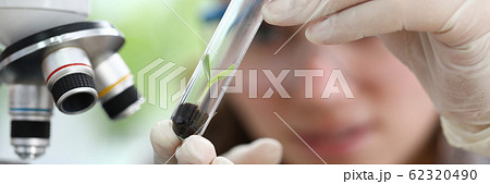 Hebal medicine extract research concept Hebal medicine extract research concept 62320490