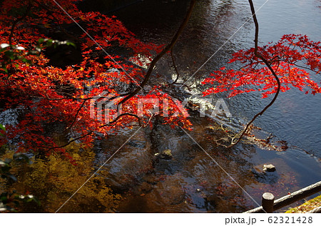 岩屋堂　紅葉 62321428