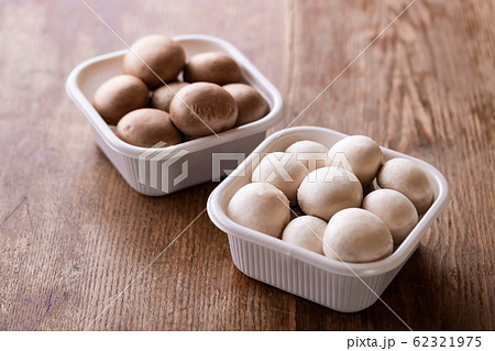 マッシュルーム マッシュルーム 62321975