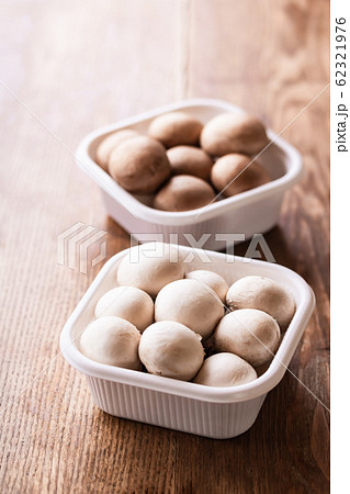 マッシュルーム マッシュルーム 62321976