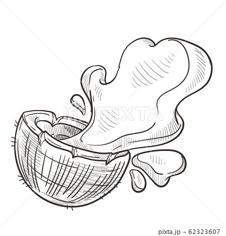 Coconut water splashing from cut open palm fruit hand drawing 62323607