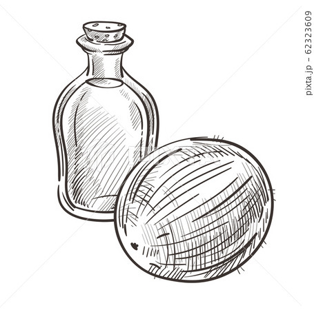 Coconut oil in bottle and whole plant hand drawn illustration 62323609