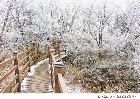 済州 漢拏山 雪景色 62323947