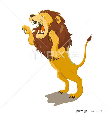 Lion Howling Stock Illustration