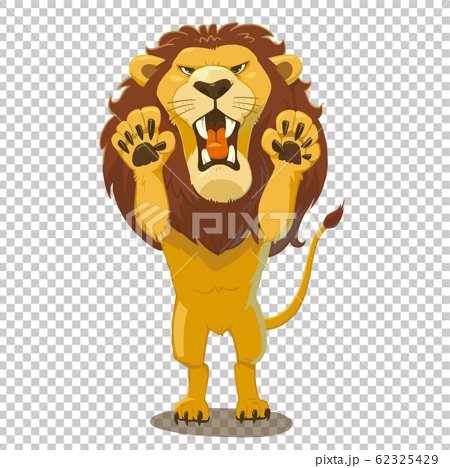 吠えるライオン 全身 正面のイラスト素材 62325429 Pixta