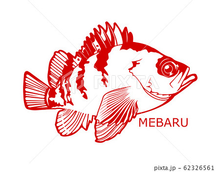 めばる20-1 62326561