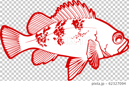 メバル メバル 62327094