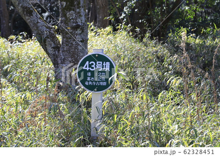 千葉県立房総のむら　風土記の丘資料館　古墳群 62328451