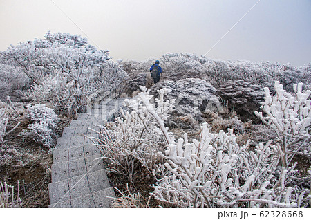 韓国岳 登山道 韓国岳 登山道 62328668