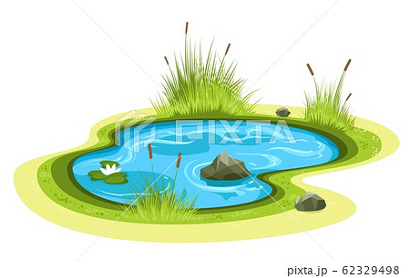 Cartoon Garden Pondのイラスト素材
