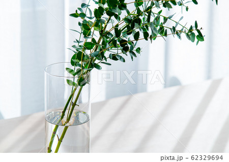 Bouquet in vase decorated near white curtain. Bouquet in vase decorated near white curtain. 62329694