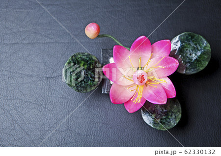 lotus flower dark leather background  62330132