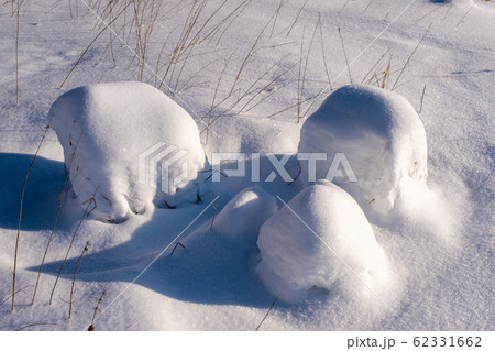 Small snow mounds and thin stems of dry plants. Small snow mounds and thin stems of dry plants. 62331662