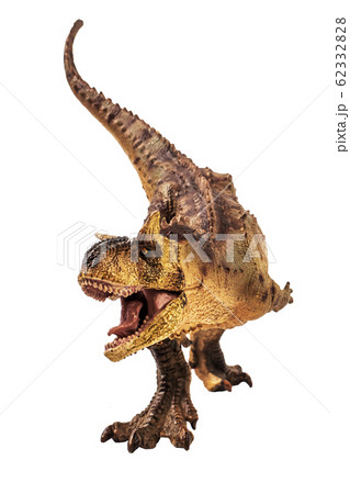 Carnotaurus  Dinosaur on white background   . 62332828