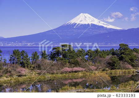 (静岡県)早春の西伊豆井田から望む、富士山 (静岡県)早春の西伊豆井田から望む、富士山 62333193