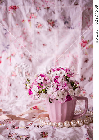 ピンクのナデシコ ガーリー背景の写真素材