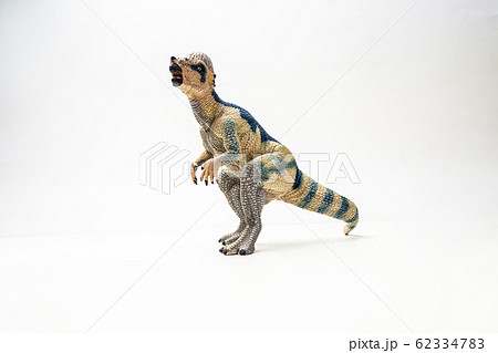 Pachycephalosaurus Dinosaur on white background . Pachycephalosaurus Dinosaur on white background . 62334783