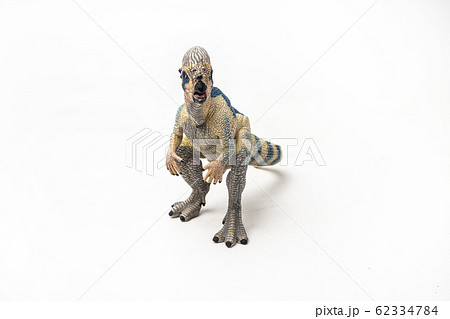 Pachycephalosaurus  Dinosaur on white background  . 62334784