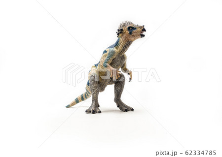 Pachycephalosaurus  Dinosaur on white background  . 62334785