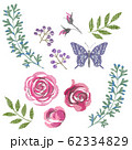 Flower_02 62334829