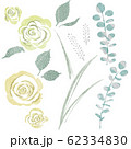 Rose 62334830