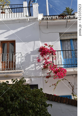 赤いキョウチクトウとフリヒリアナの白い街並み 赤いキョウチクトウとフリヒリアナの白い街並み 62335923