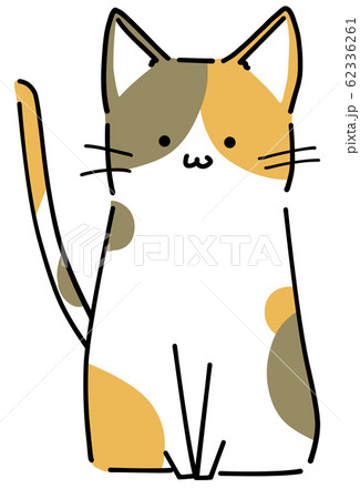 座る三毛猫 62336261