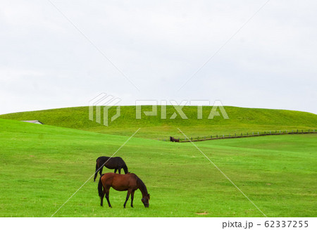 北海道浦河の風景 浦河サラブレッド銀座(優駿スタリオンステーション付近) 北海道浦河の風景 浦河サラブレッド銀座(優駿スタリオンステーション付近) 62337255