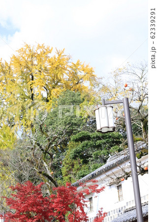 EOSかもがた町家公園2018no9 62339291