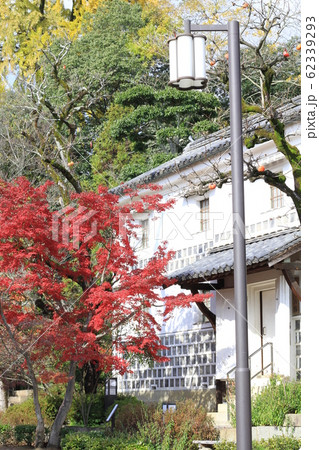 EOSかもがた町家公園2018no11 62339293