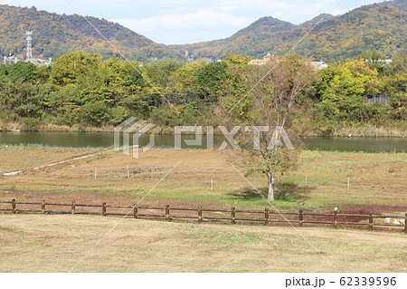 EOS 寄島2018no12 62339596