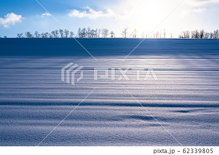《北海道》冬の美瑛・ストライプ模様の雪原の丘 62339805