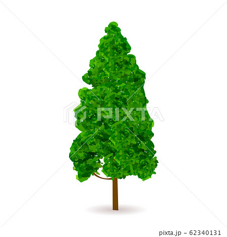 杉 花粉 木 アイコンのイラスト素材