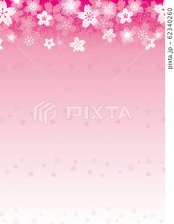 ピンクの桜 背景 便箋 手紙のイラスト素材