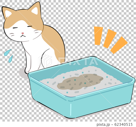Cat polyuria Cat polyuria 62340515